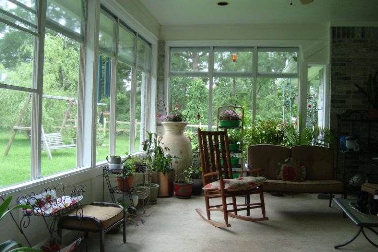 5 Plants That Will Thrive In Your Sunroom - Sunspace Sunrooms