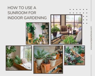 Sunroom-indoor-gardening